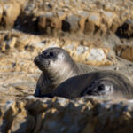 087期开奖号码公布最新结果查询 1sfpsk4xk