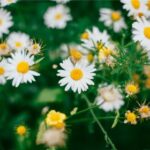 09的直播间:青春记忆与网络时代的交汇点 6imqg