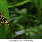 097期开奖结果最新公布,快来看看你中奖了吗? 75i4rsfqv