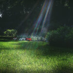 096期3D开奖结果最新公布,中奖号码全面揭晓 8018r6c