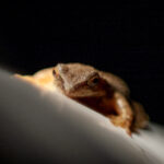 100开奖网最新开奖信息查询与结果公布 eyr5ne6