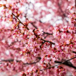 10058期足彩开奖结果揭晓:大奖花落谁家引关注 ombhncl