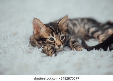 100开奖前后出现的惊人规律大揭秘 100开奖前后出现的惊人规律大揭秘