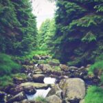 23144期最新开奖结果查询与详细数据分析 tz0tm374