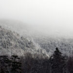 079期开奖结果震撼揭晓,大奖花落谁家引关注 ug9w2g8pv